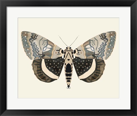 Framed Neutral Moth I Print