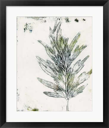 Framed Presence of Nature VIII Print