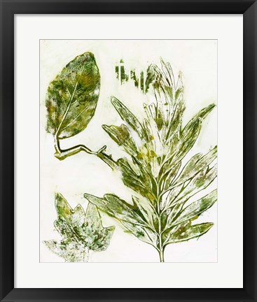 Framed Presence of Nature IX Print