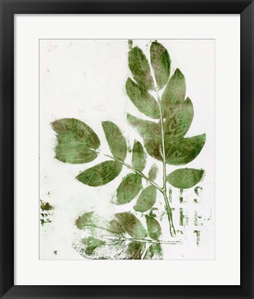 Framed Presence of Nature X Print