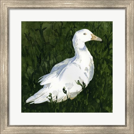 Framed Lone Duck I Print