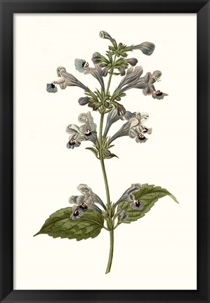 Framed Soft Blue Botanicals III Print