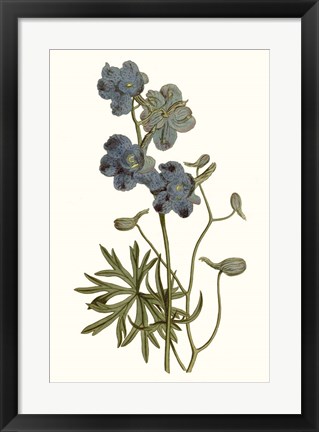 Framed Soft Blue Botanicals V Print