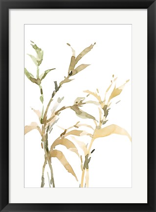 Framed Stems II Print