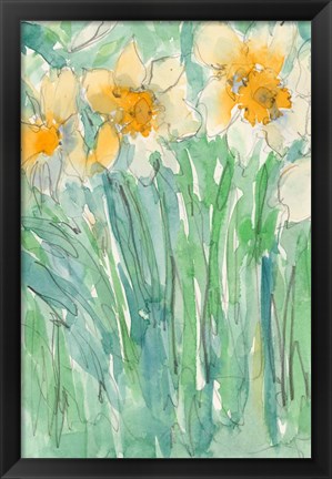 Framed Daffodils Stems I Print