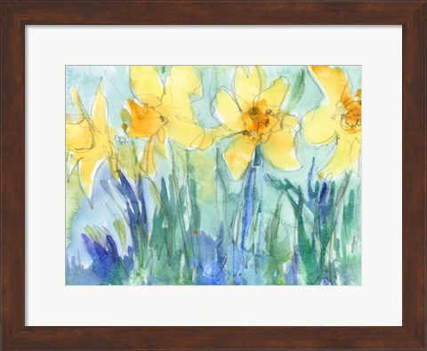 Framed Daffodil Blooms II Print