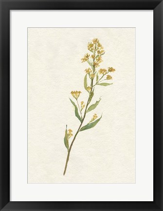 Framed Delicate Yellow I Print