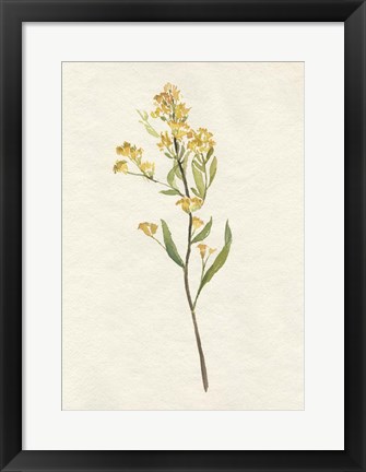 Framed Delicate Yellow II Print