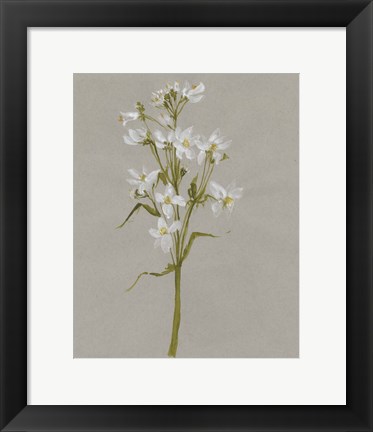 Framed White Field Flowers I Print