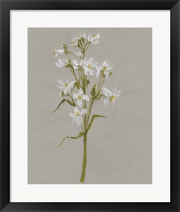 Framed White Field Flowers I Print