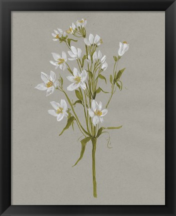 Framed White Field Flowers II Print