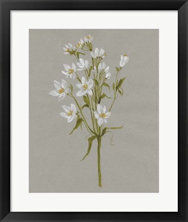 Framed White Field Flowers II Print