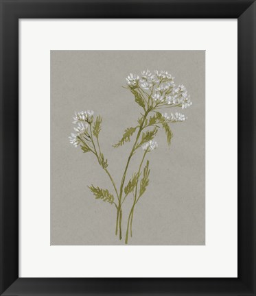 Framed White Field Flowers III Print