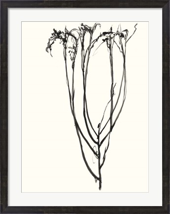 Framed Naive Flower Sketch II Print