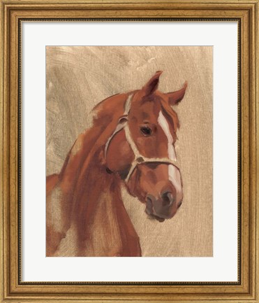 Framed Thoroughbred II Print