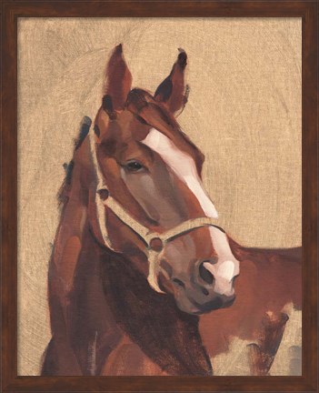 Framed Thoroughbred IV Print