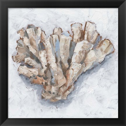 Framed Coral Display IV Print