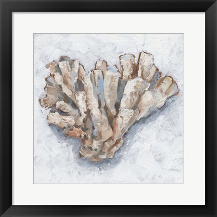 Framed Coral Display IV Print