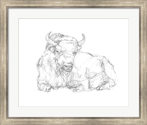Framed Bison Contour Sketch II Print