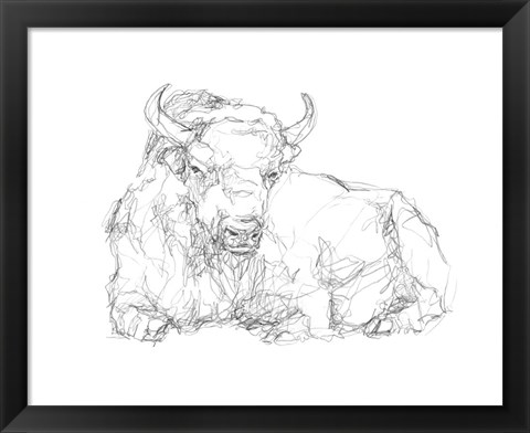 Framed Bison Contour Sketch II Print