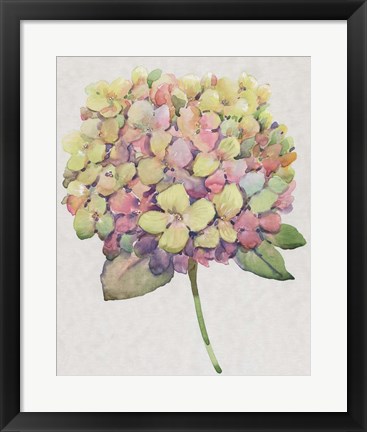 Framed Multicolor Floral II Print