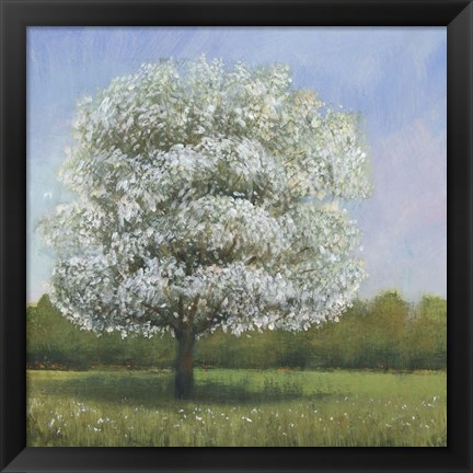 Framed Spring Blossom Tree I Print