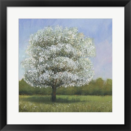 Framed Spring Blossom Tree I Print