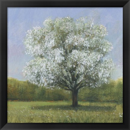 Framed Spring Blossom Tree II Print