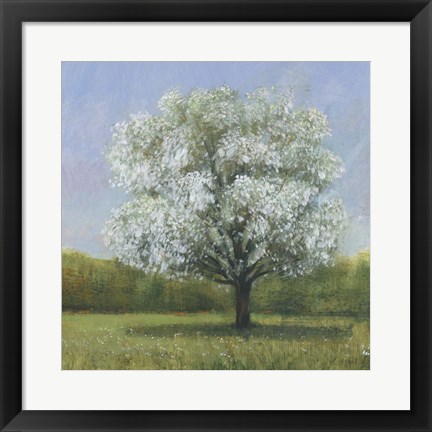 Framed Spring Blossom Tree II Print