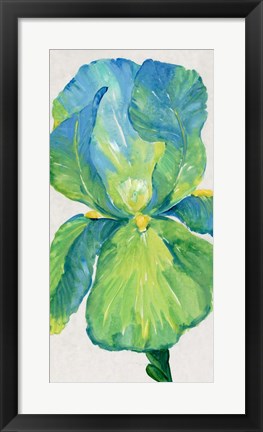 Framed Iris Bloom in Green I Print