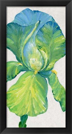 Framed Iris Bloom in Green II Print