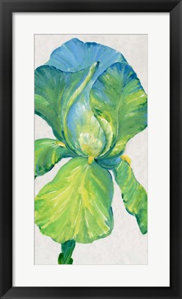 Framed Iris Bloom in Green II Print