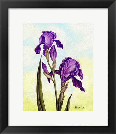 Framed Irises Print