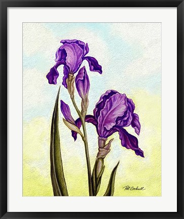 Framed Irises Print