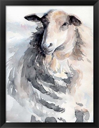 Framed Watercolor Sheep II Print