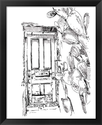 Framed Cactus Door VI Print