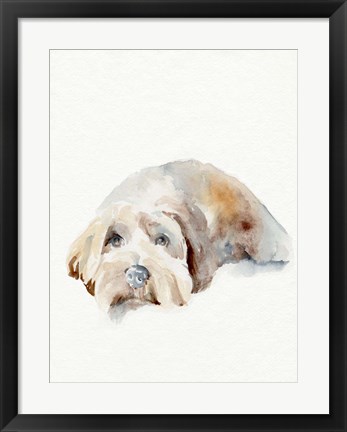 Framed Scruffy Puppy II Print