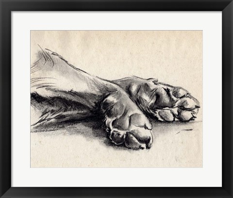 Framed Charcoal Paws II Print