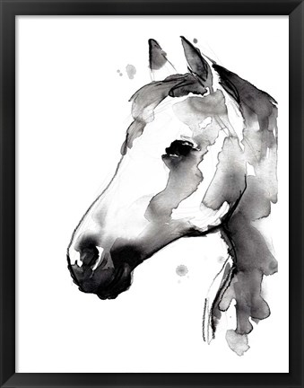 Framed White Stallion II Print