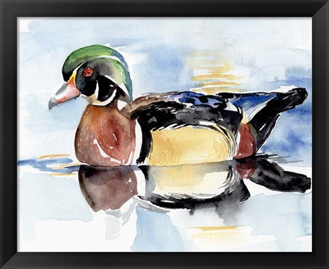 Framed Watercolor Woodduck I Print