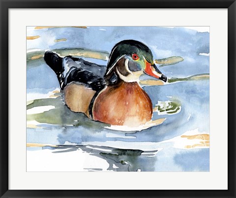 Framed Watercolor Woodduck II Print