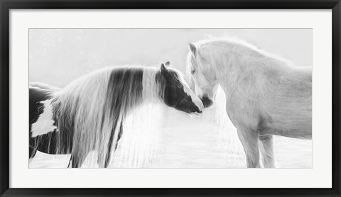 Framed Collection of Horses III Print