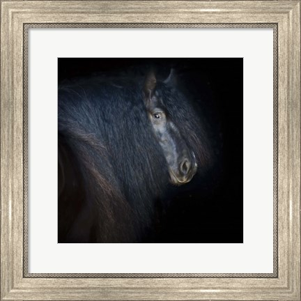 Framed Collection of Horses VI Print