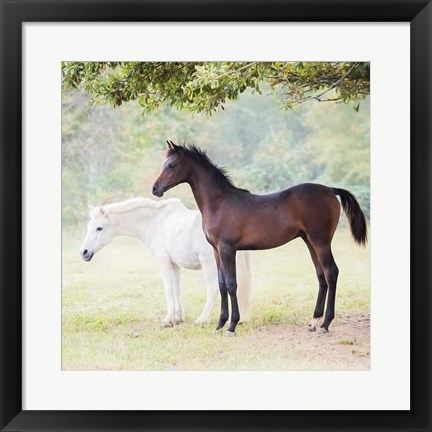 Framed Collection of Horses VII Print