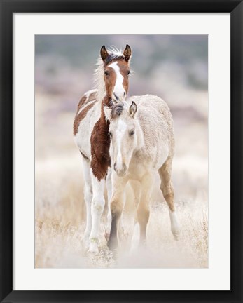 Framed Collection of Horses X Print