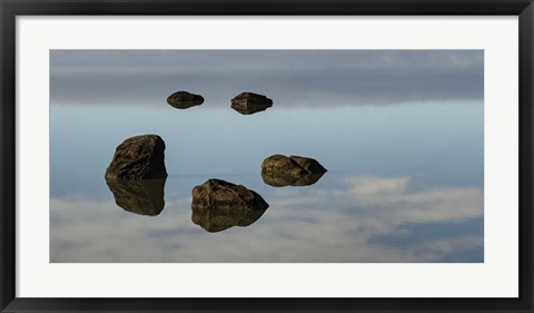 Framed Water &amp; Land VIII Print