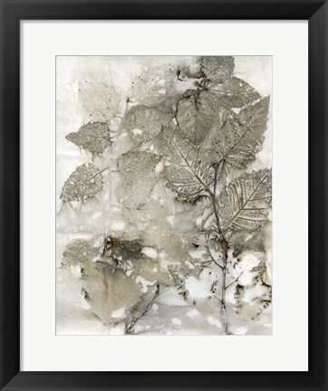 Framed Birch Leaves I Print