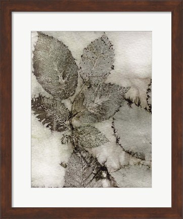 Framed Birch Leaves II Print