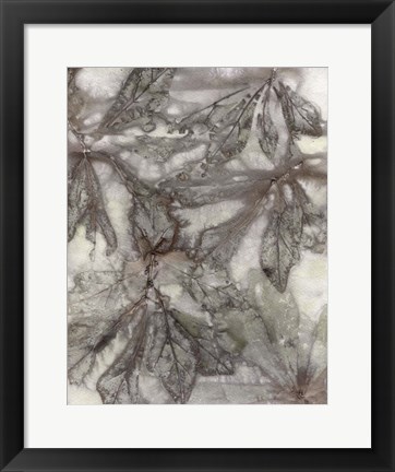 Framed Water Oak Leaves Print