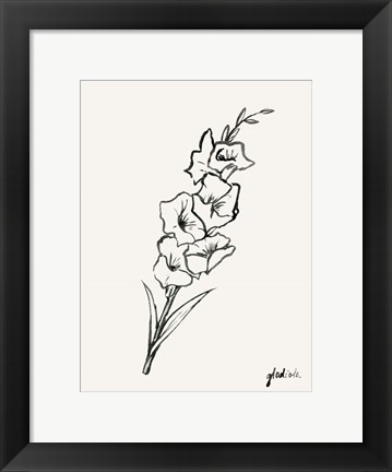 Framed Gladiola Sketch II Print